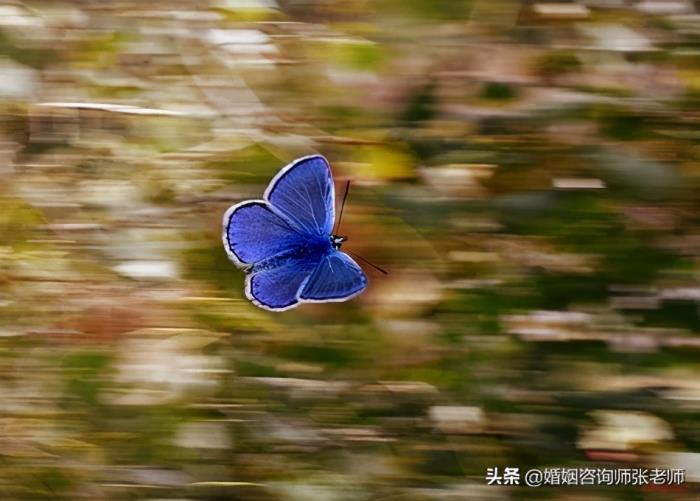 怎么挽回精神出轨的丈夫（做好这三点才能挽回婚姻）