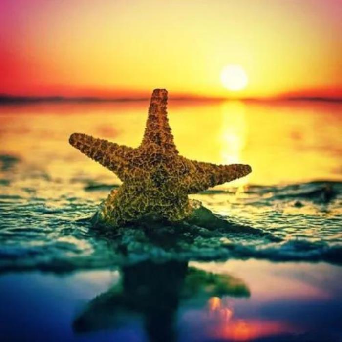 离婚后想挽回怎么办，当你的老婆彻底要离婚