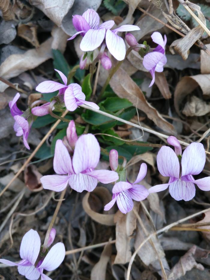 夫妻生活太平淡怎么办（婚姻生活走到平淡期）