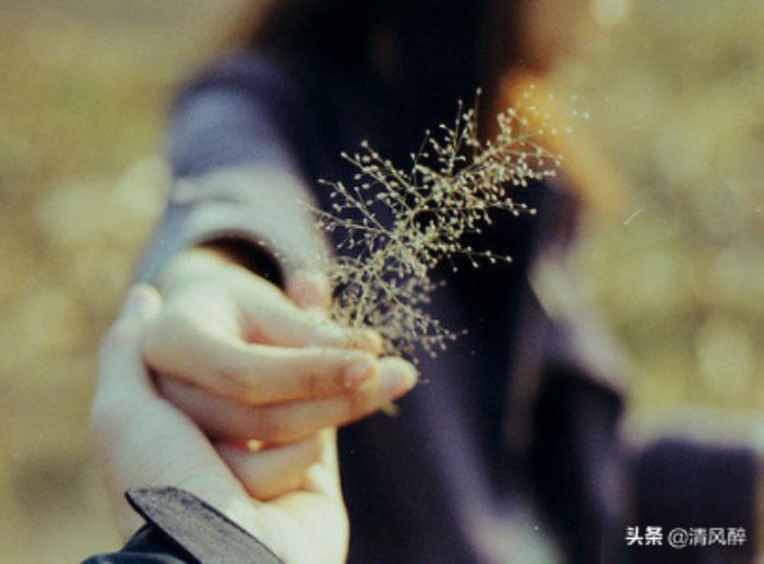 幸福的说说心情短语（微信幸福说说简单优美）