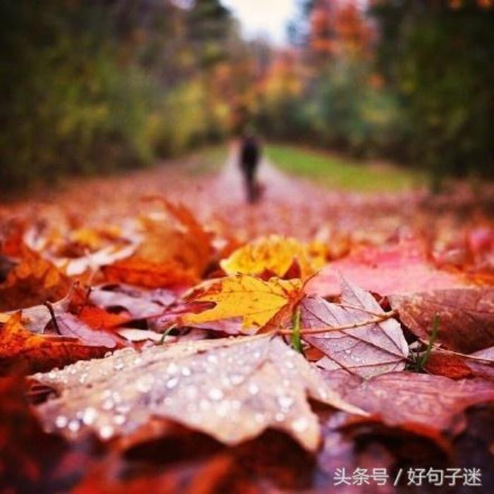 思念一个人的说说（想念一个人的说说短语）