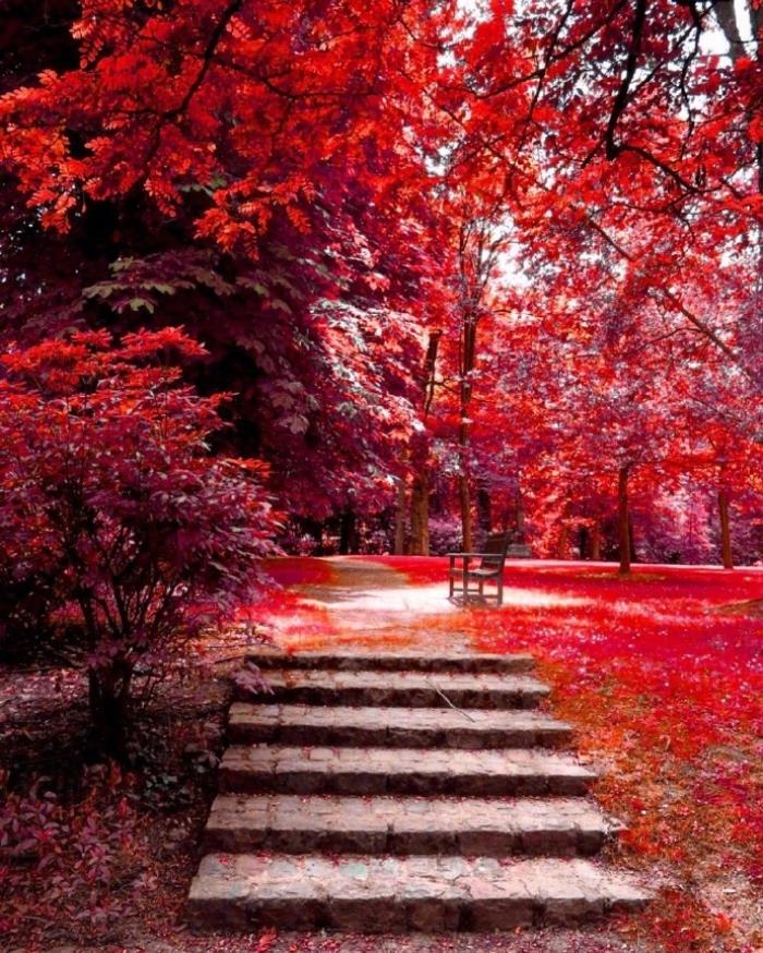 给女朋友真心的感动话，给女朋友甜甜的情话