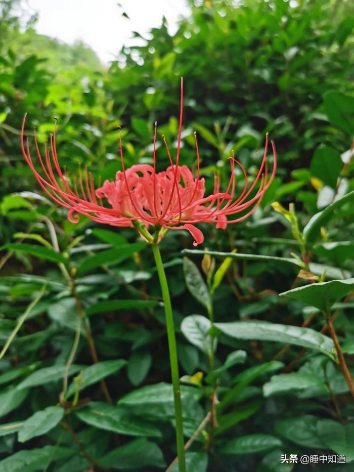 暖心认错情话给女朋友的，向女朋友道歉的520字情书