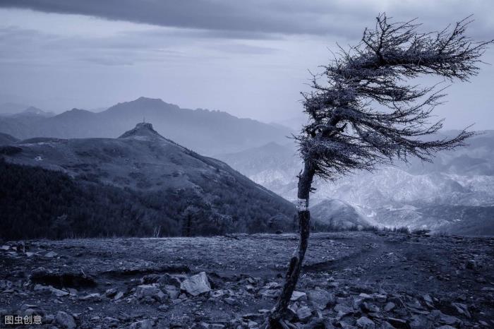 不要被大风刮走的说说（刮大风天气的心情语录）