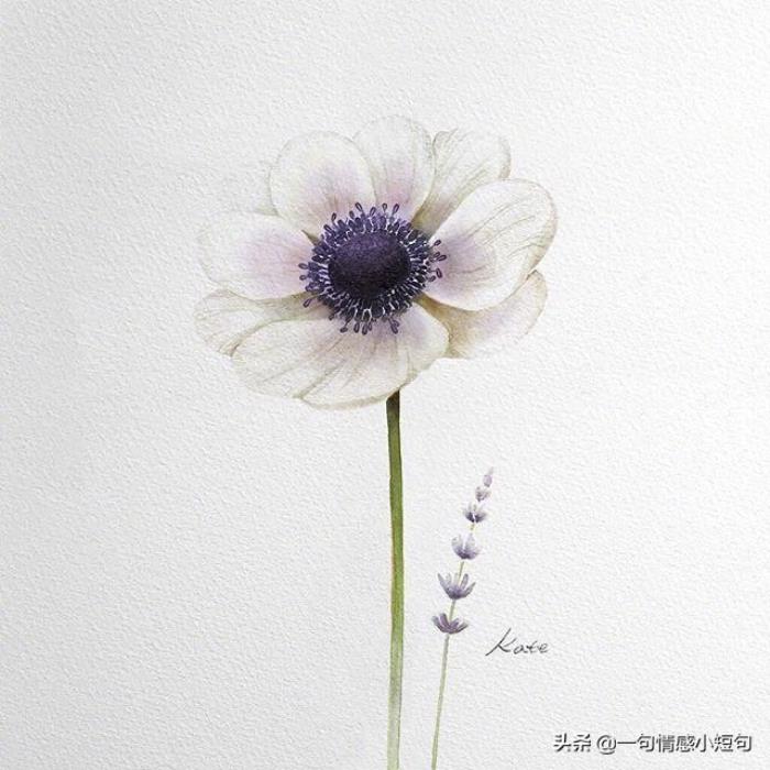 工作太累的心情短语（保持心情愉悦排解压力）