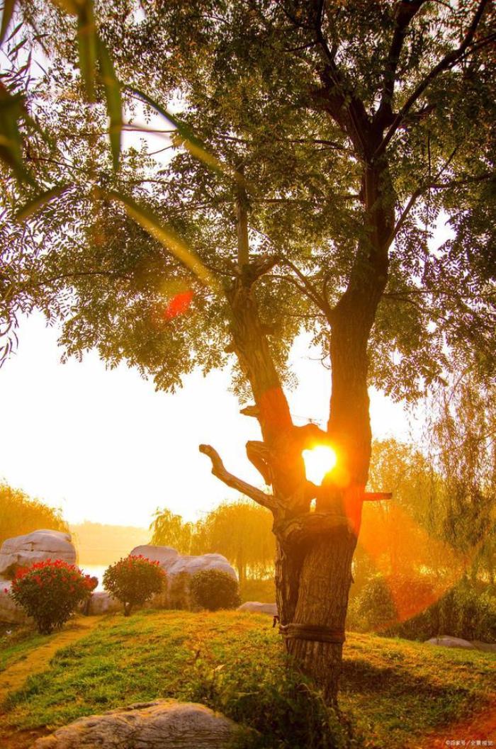 暖阳的唯美诗句（诗词/七绝.腊月暖阳）