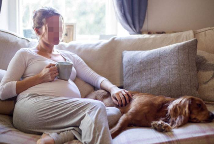 梦见自己怀孕了是什么意思，女人梦见怀孕是什么意思