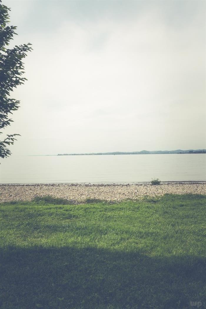 伤心的句子说说心情（一个人伤心的心情短语）