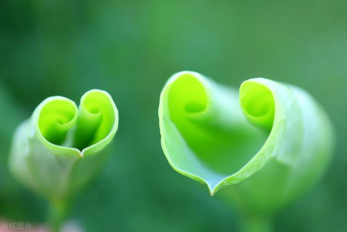 金牛女和天蝎男，金牛女和天蝎男的爱情姻缘