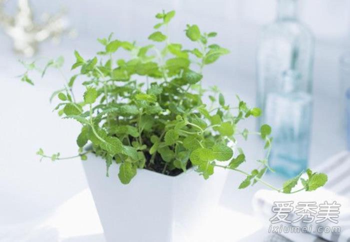 母亲节说说（母亲节心情说说大全）