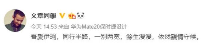 文章出轨事件（文章出轨5年后离婚）