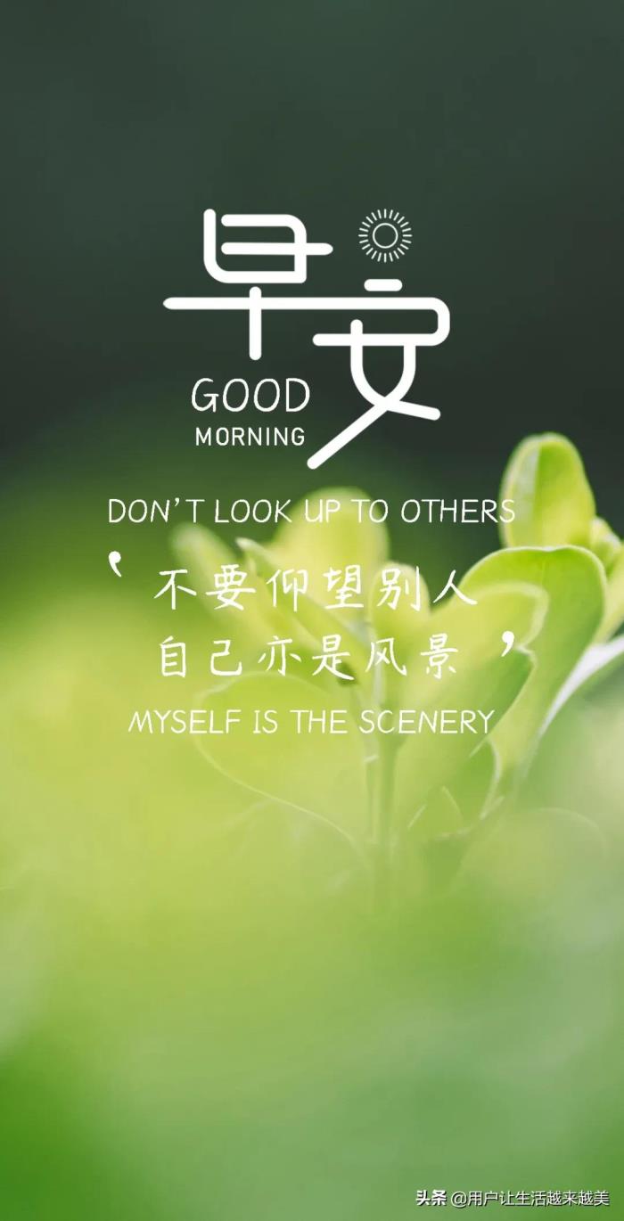 每日心语(早安心语丨每日励志正能量)_可可情感网