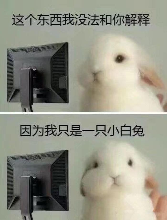小白兔的笑话（两只耳朵竖起来。小白兔笑话合集）