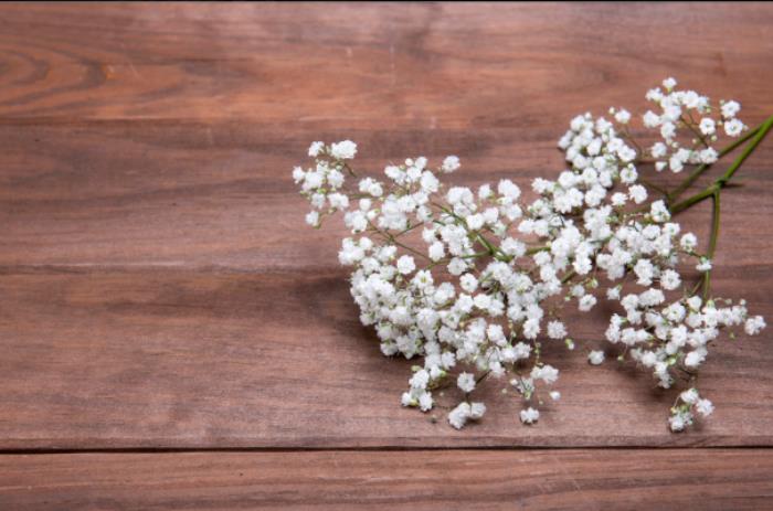 怀念青春的句子（感慨逝去的青春的句子）