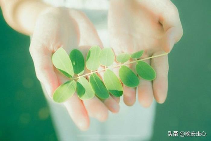 我想和你白头到老（我想要和你白头到老）