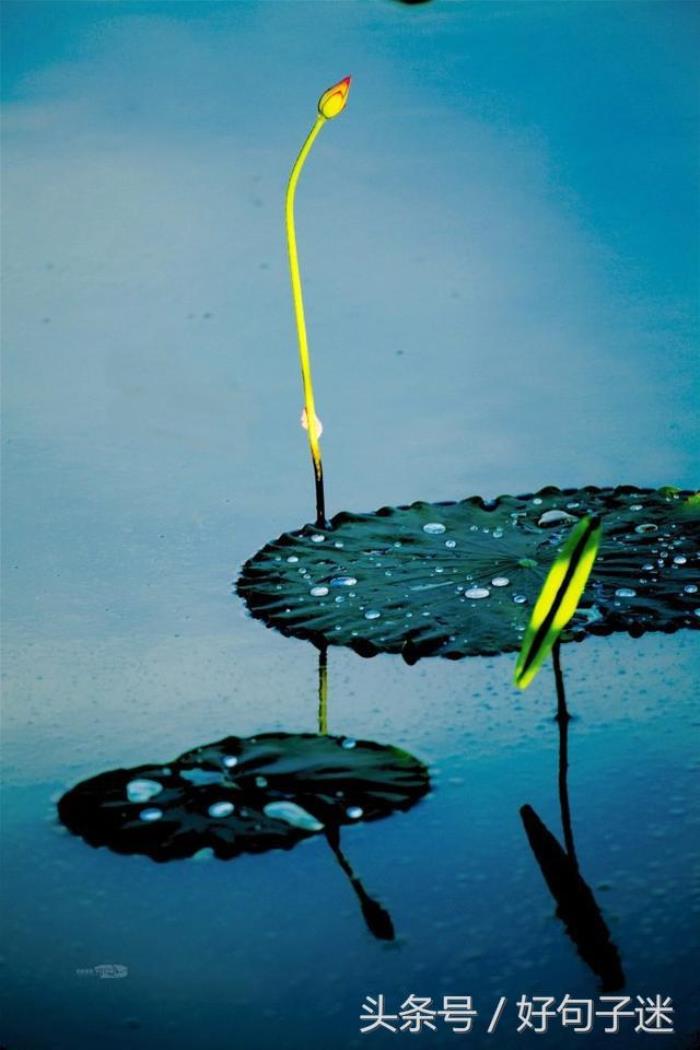 思念一个人的心情短语（很想你的心情说说短句子）