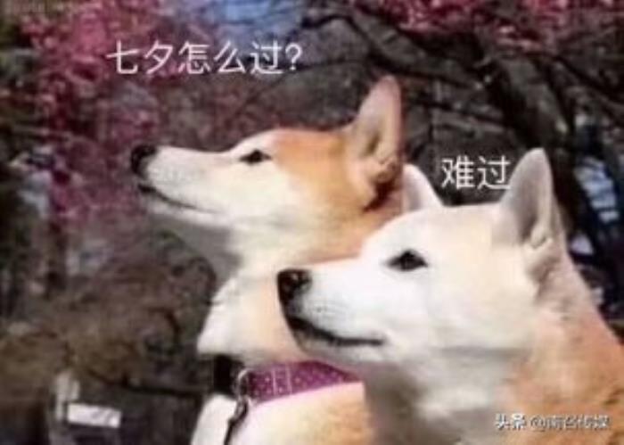 一年有多少个情人节，一年竟然有13个情人节