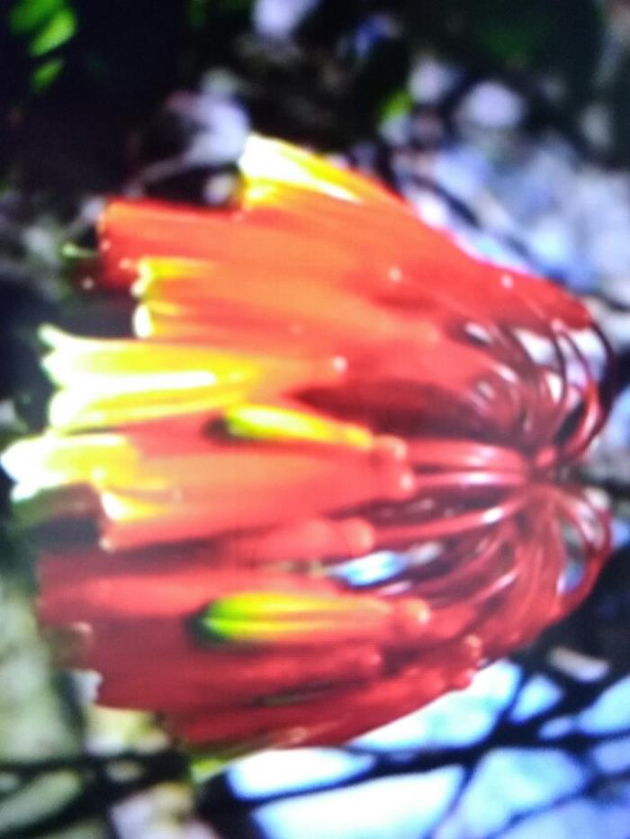 走自己路让别人说经典（让别人去说自己人生不将就）