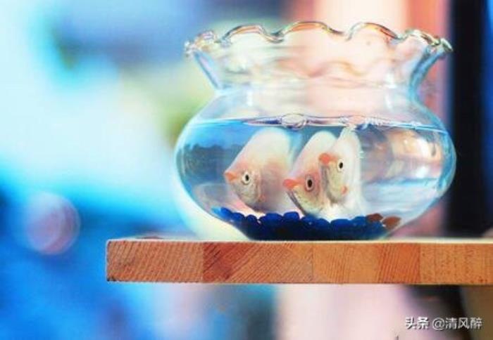 心疼自己的说说（失望心疼自己的说说）