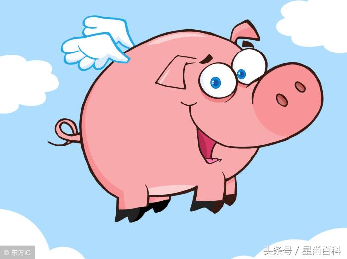 属猪的属相婚配表（属猪和所有生肖配对）