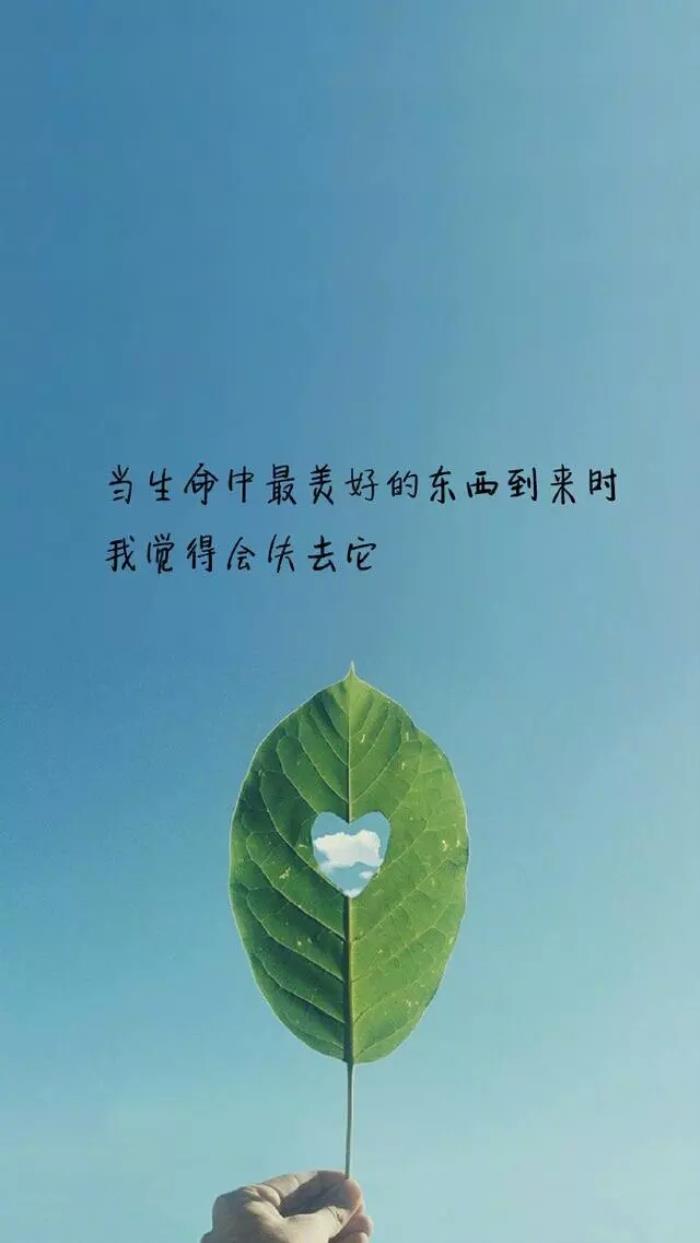 最走心的图片（最近很走心的很不错的句子）