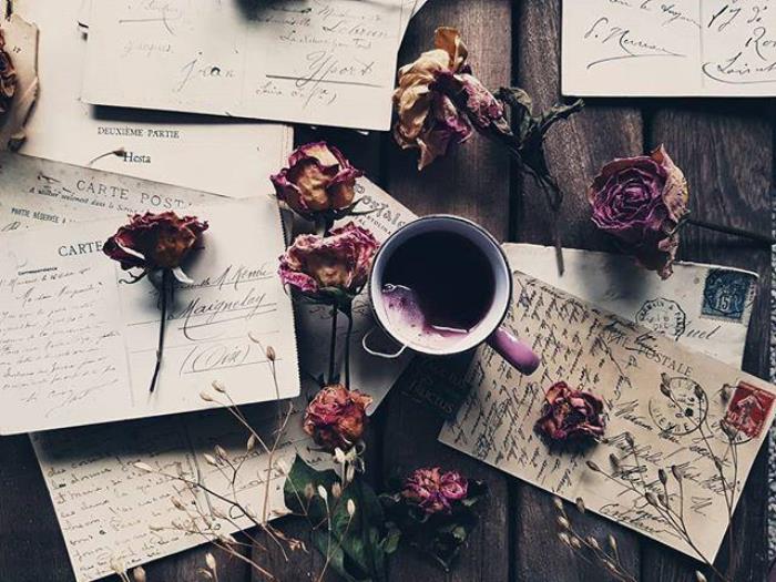 忍痛放手的句子（心累了决定放手的句子）