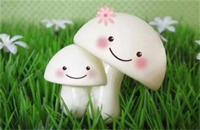 怎么调整心态（5种实用的调整心态方法）