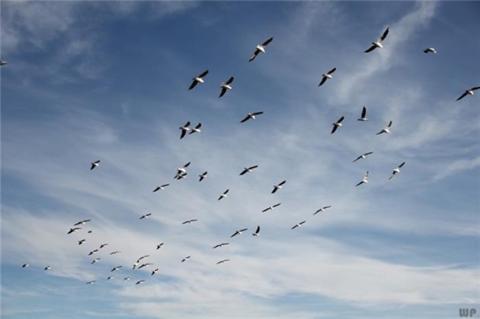 对生活充满希望的句子（人生充满希望的句子）