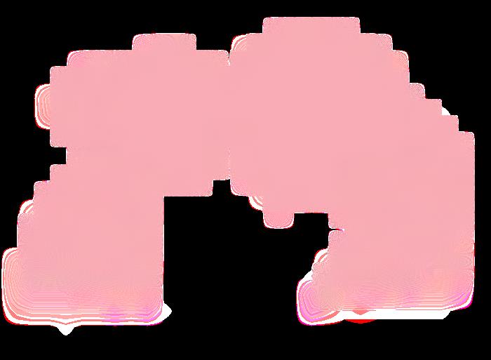 最新婚姻法全文（中华人民共和国婚姻法）