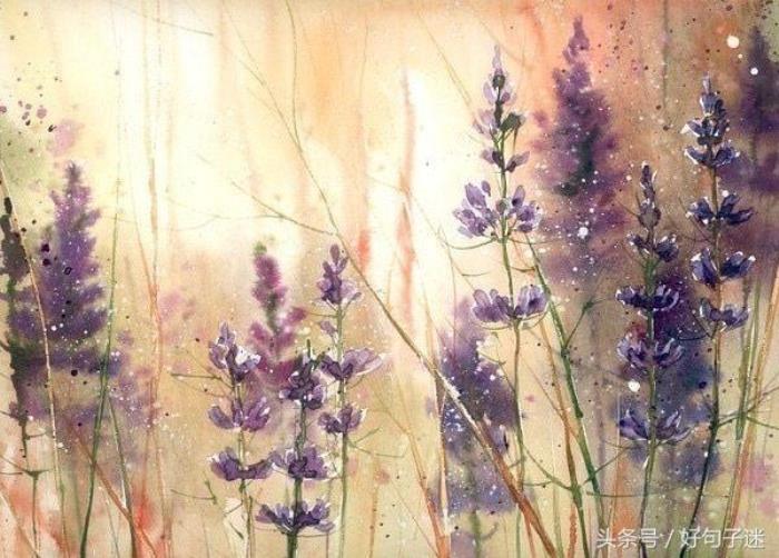 无助的句子说说心情（一个人迷茫无助的句子）