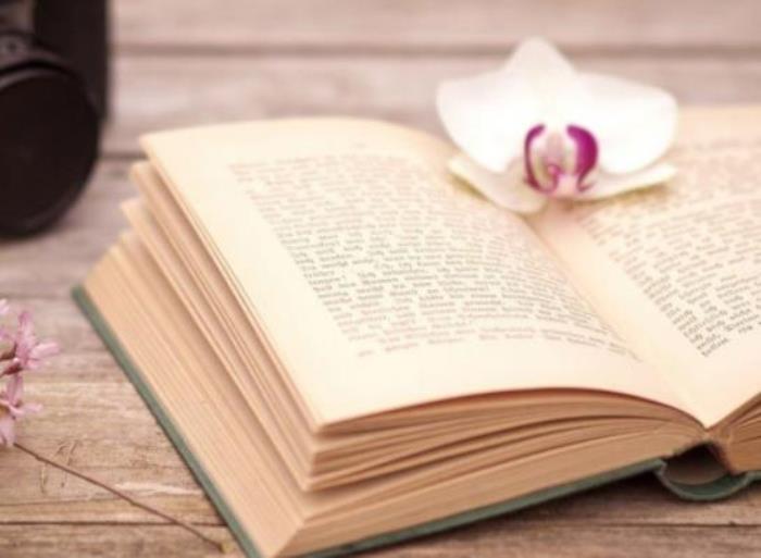 我眼中的同学（发现同学越来越现实）