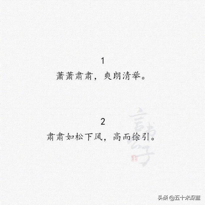 赞美成功男人经典句子（有哪些赞美男子的句子）