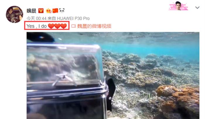 魏晨成功求婚（33岁魏晨潜水求婚成功）