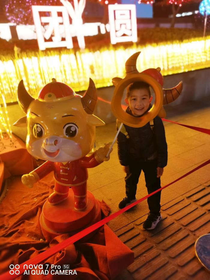 因为我脑子不好，为何我的脑子里都是些不好的事情