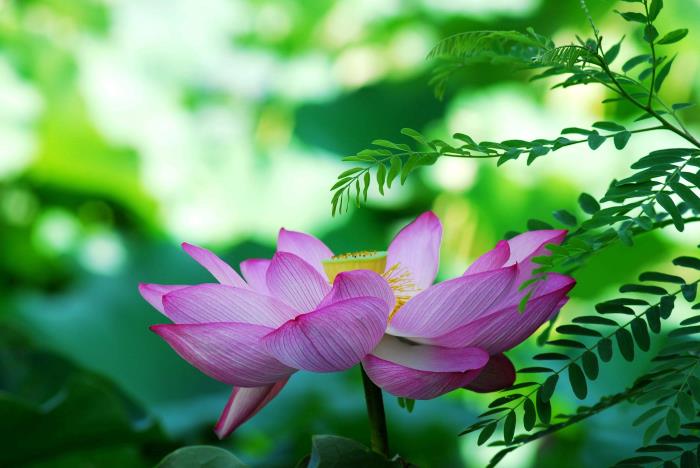 有一种爱叫相忘于江湖（不如就此相忘于江湖）