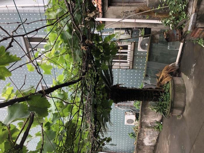 我的人生价值观（我的人生价值观心得、认识与体会）