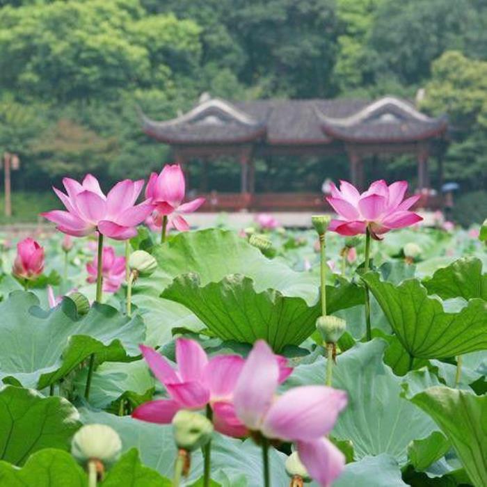 女生什么时候最想要，女人在哪几个时候最想要男人