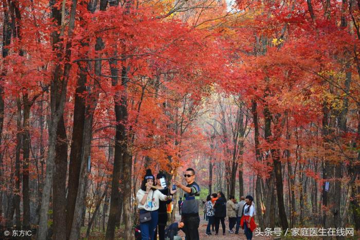 秋季养生保健知识（秋天是养生最佳时间）