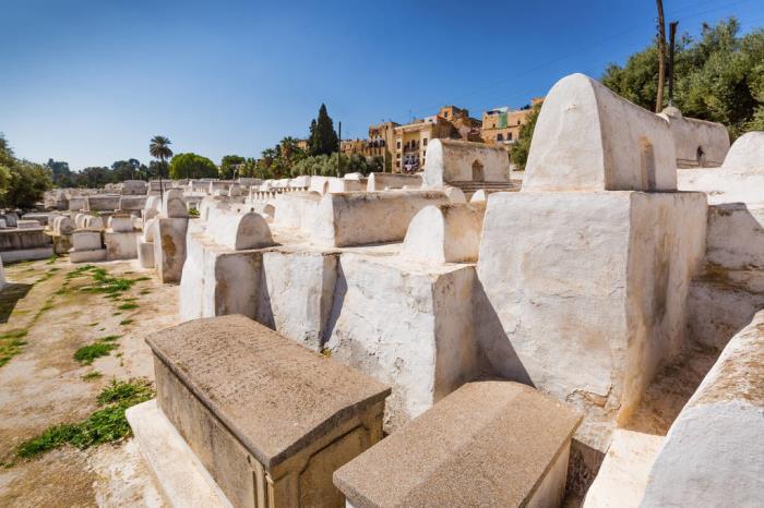 如果来生真的存在（如果有一天能证明人真的有来世）