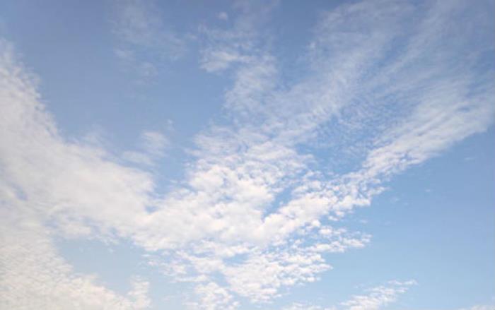 情人节贺卡内容，情人节祝福语文案说说