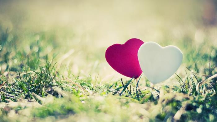 人生十有九不如意下句（人生路上十之八九不如意）