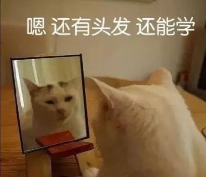 如何和女生聊天找话题，不知道跟女生聊什么