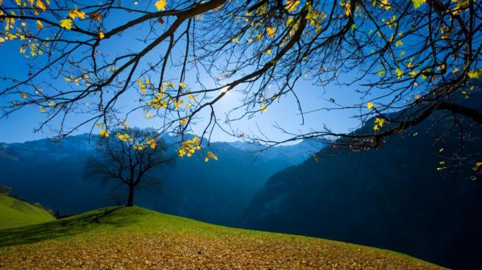 人为什么活着这么累（为什么人活着这么累）