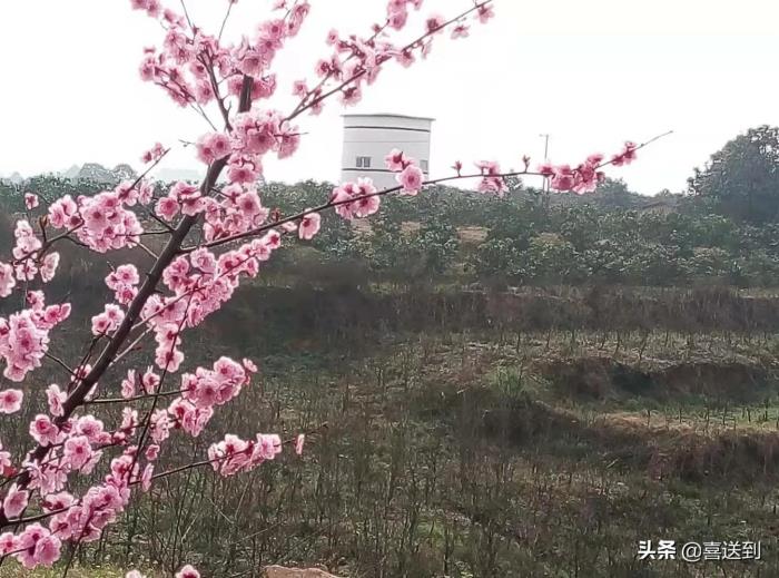 强势的婆婆最怕什么（强势的婆婆最怕的是什么）