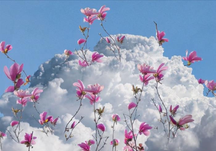 体贴关心人的话（很贴心的安慰朋友的话）