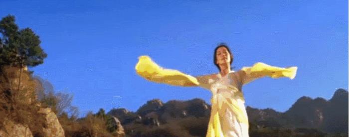 唐季礼个人资料（香港金牌动作导演唐季礼）