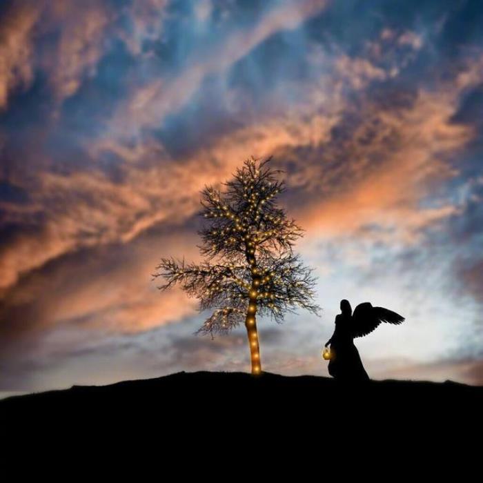 失恋后的心情(失恋后心情低落的伤感句子)