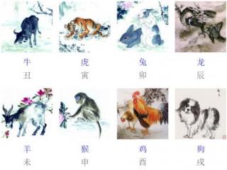 十二生肖的顺序（十二生肖是怎么排序的）