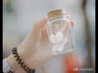 双鱼座和射手座，双鱼座和射手座怎么相处