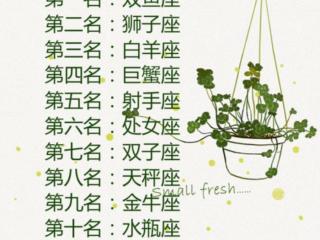 十二星座颜值排名，最不会拒绝别人的星座